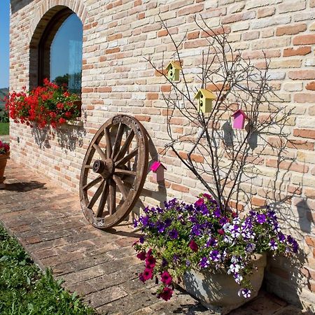 ポテンツァ・ピチェーナ Agriturismo Le Castella Bed & Breakfast エクステリア 写真